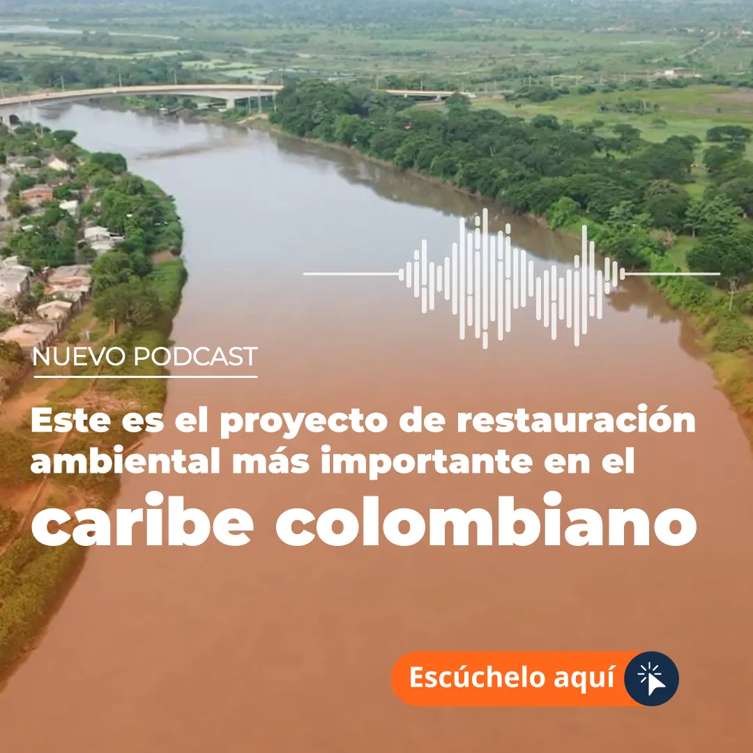 Este es el proyecto de restauración ambiental más importante en el caribe colombiano